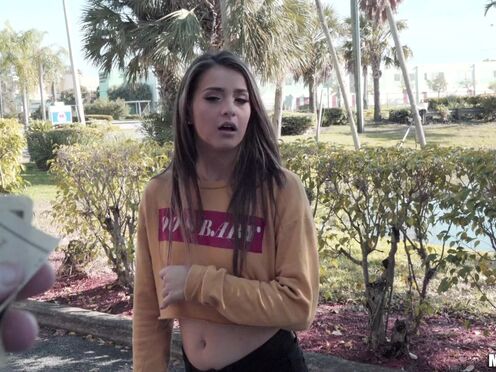 Пикапер трахает девку в киску большим членом за деньги